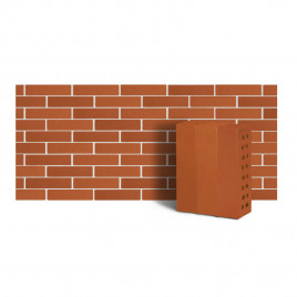 Клинкер фасадный морковный тип 3.1Т 0,48NF - фото - 1