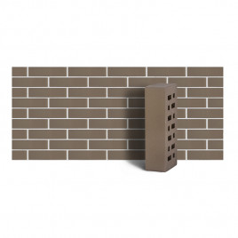 Клинкер фасадный серый (5,0%) б/ф 0,54NF гладкий - фото - 1